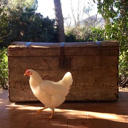 Bed & Breakfast At In Maremma Istia dʼOmbrone